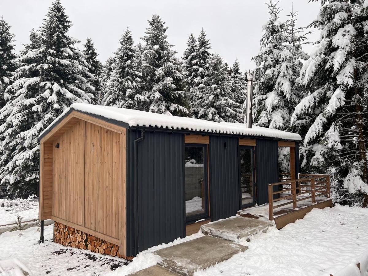 Парк-Готель Щастя Skhidnytsia Ngoại thất bức ảnh