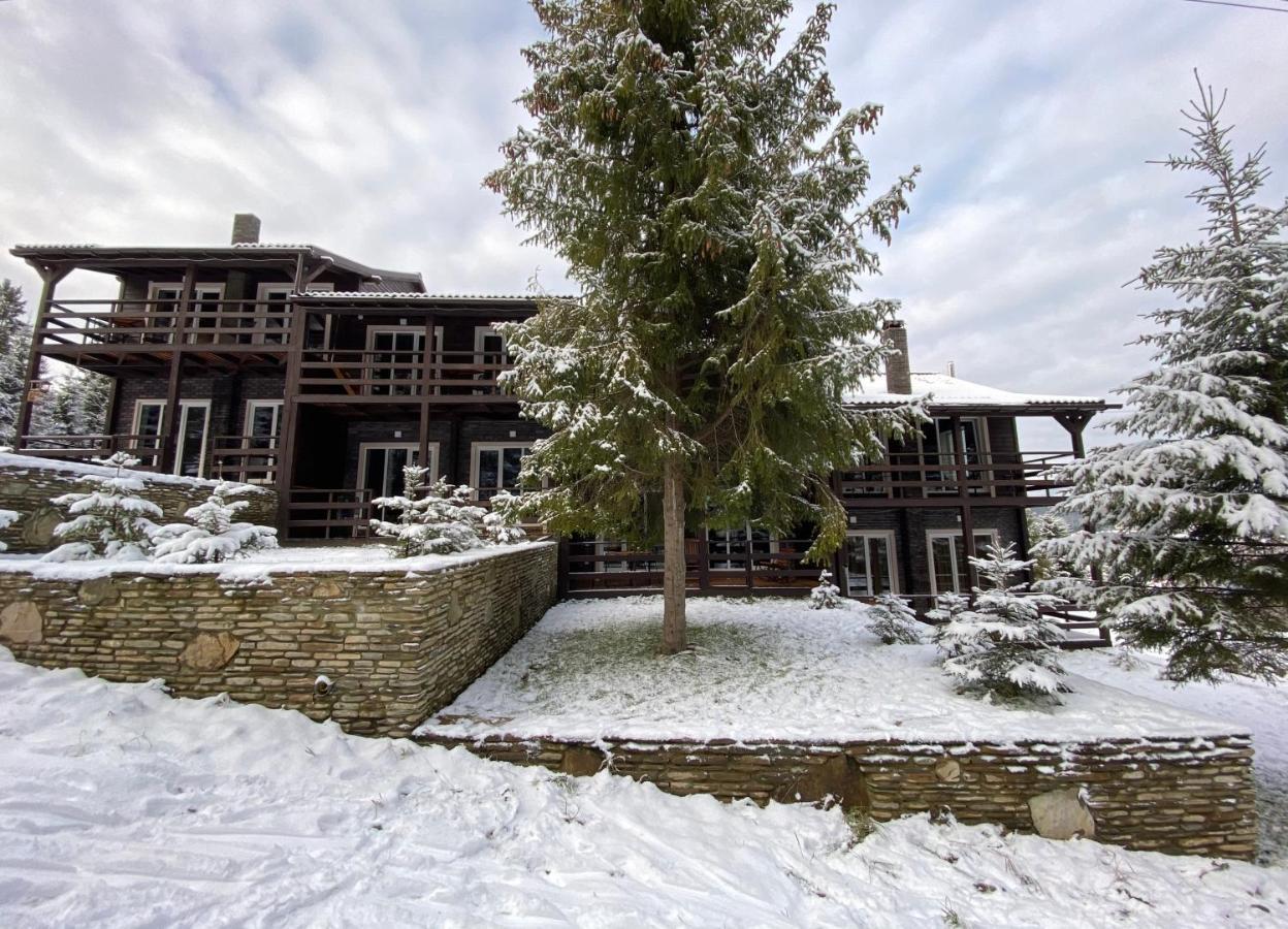 Парк-Готель Щастя Skhidnytsia Ngoại thất bức ảnh