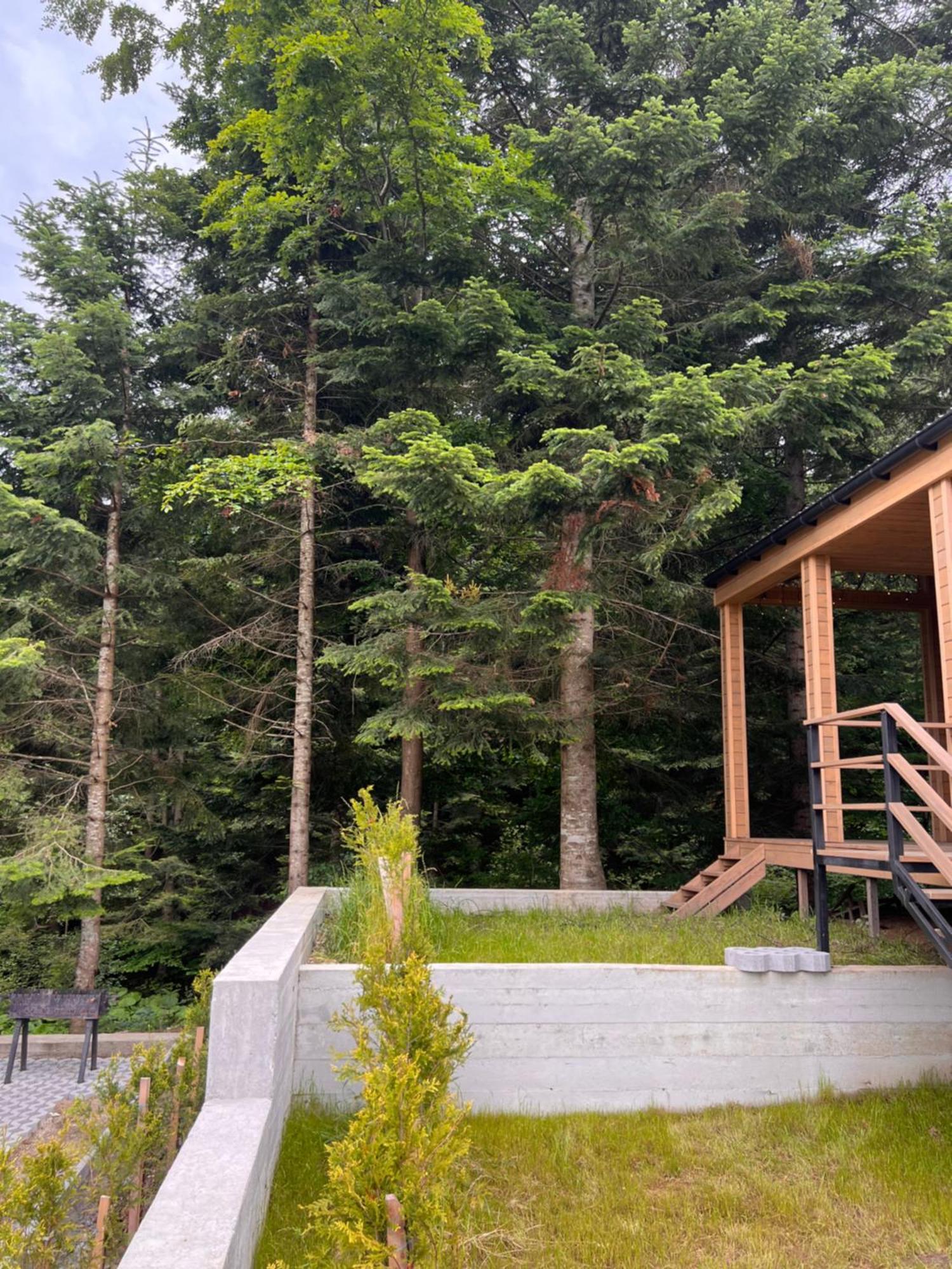 Парк-Готель Щастя Skhidnytsia Ngoại thất bức ảnh